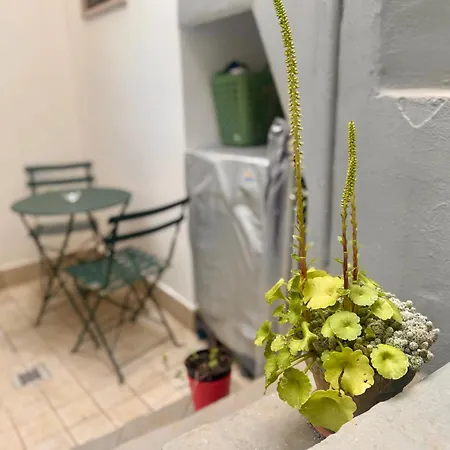 Dom wakacyjny I Quattro Pumi Mola di Bari